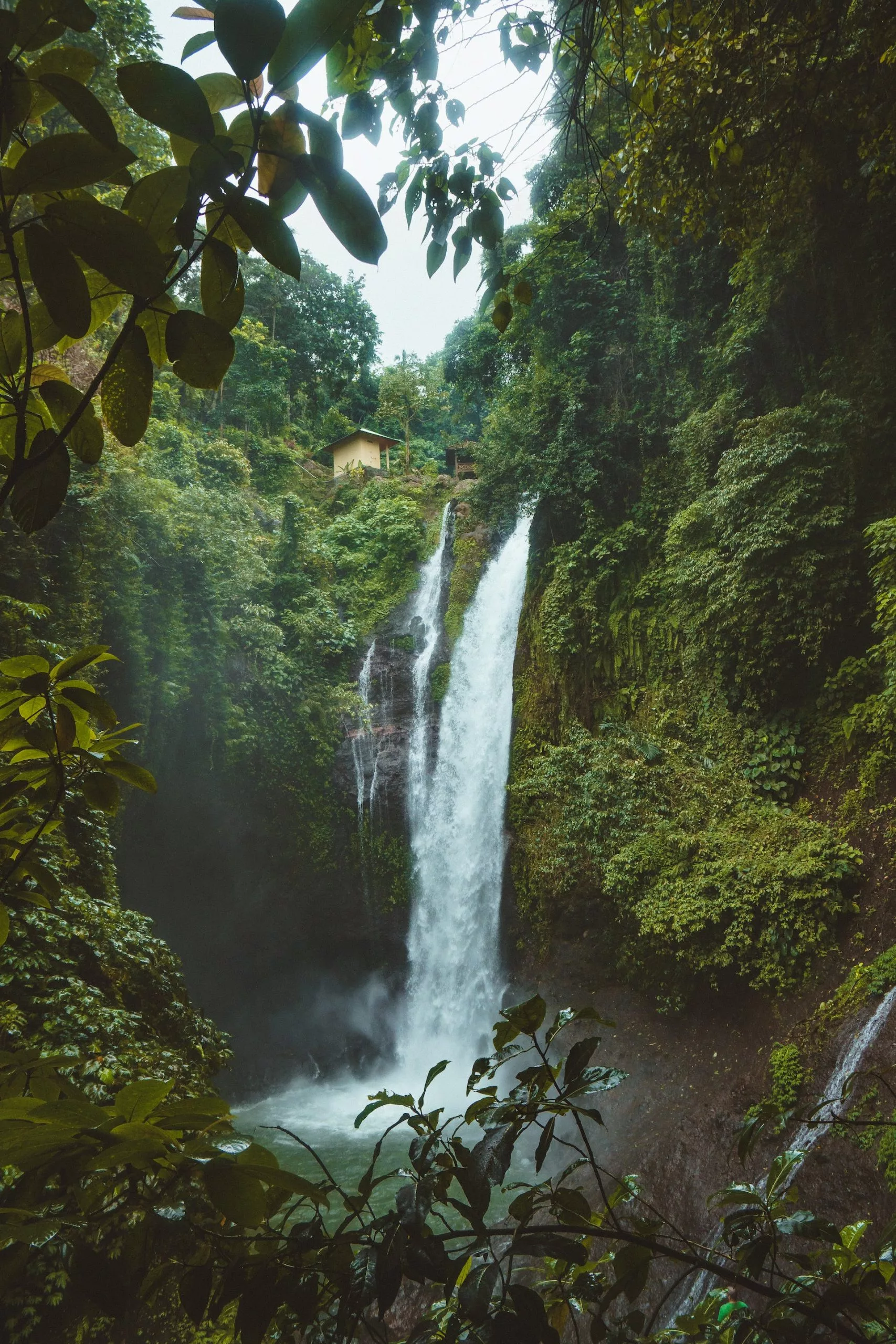 Atlantic Forest, Beaches & Islands 