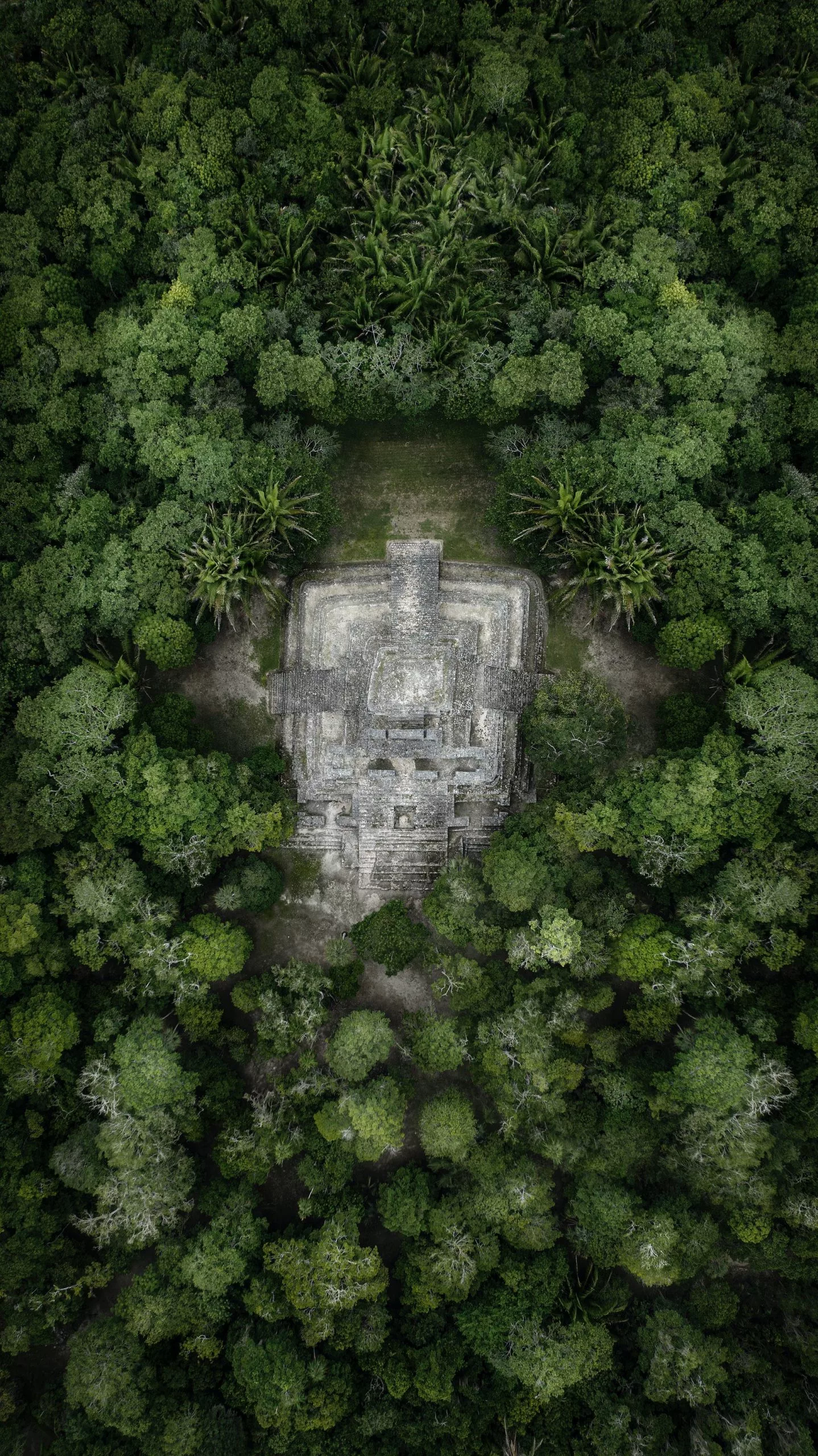 Central America, Caribbean and Maya Culture 
