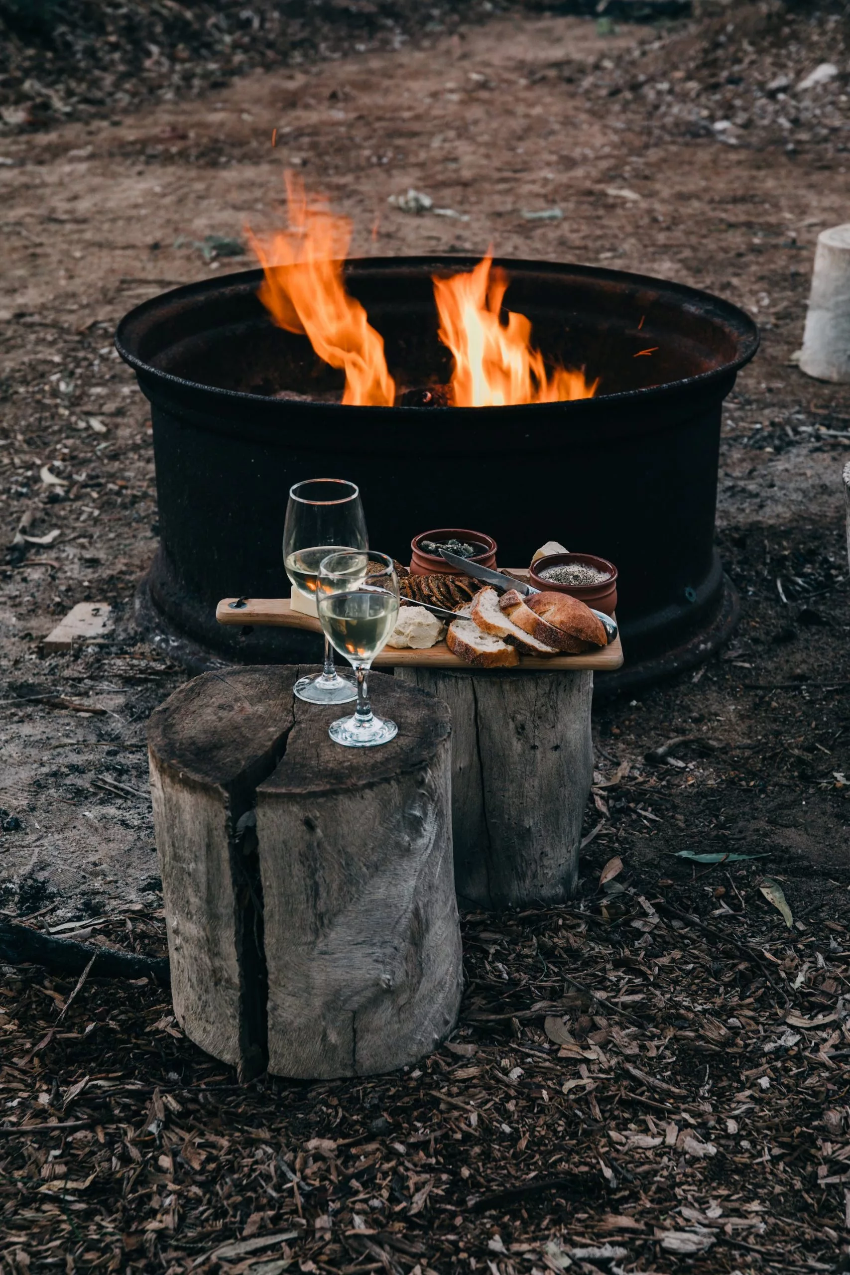 South American Wines