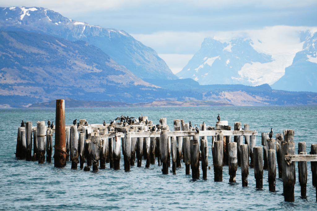 patagoniaIns03