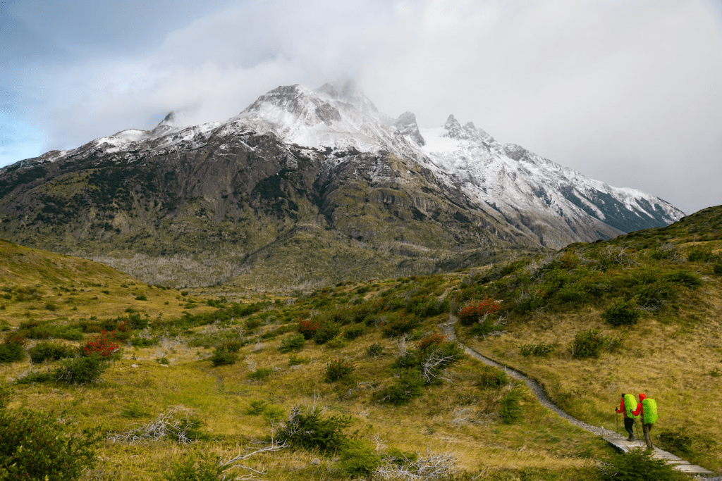 patagoniaIns08