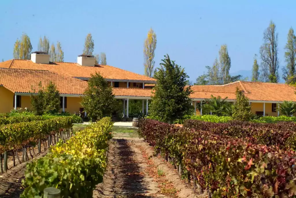 winesIns05