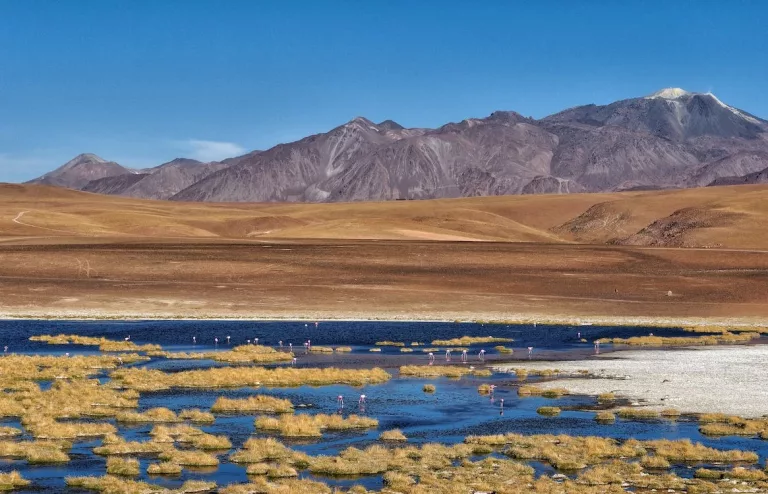 Atacama Desert & Altiplanic 14 Atacama Salt Flats