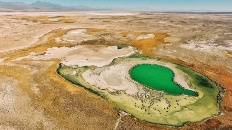 Atacama Desert & Altiplanic 16 Floating Lagoons