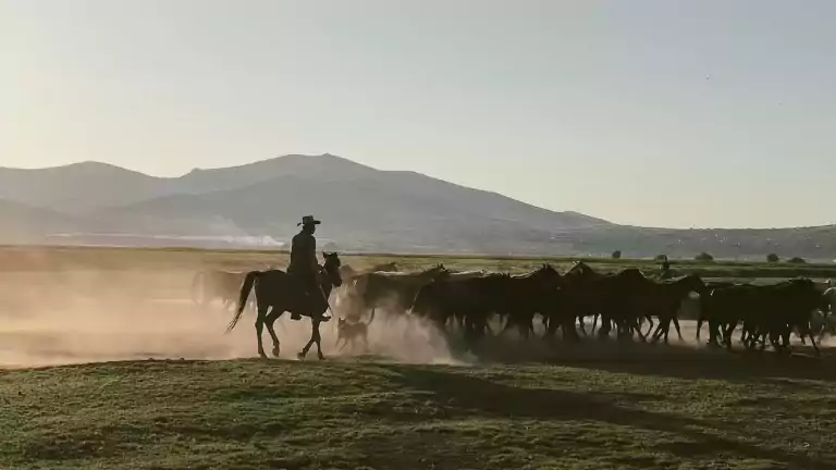 Patagonia 26 Gaucho Experience