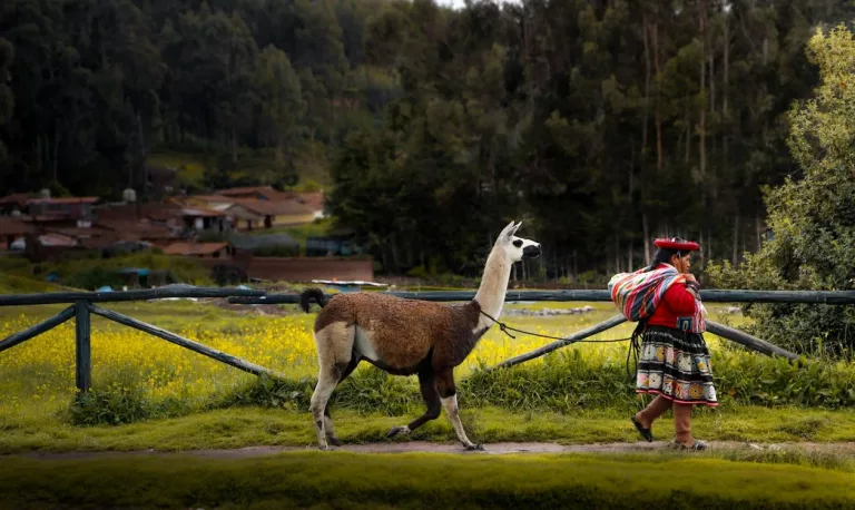 Atacama Desert & Altiplanic 27 Transfer Tour from Puno to Cusco