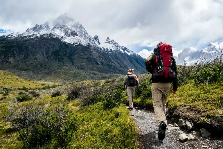 Patagonia 21 W trek