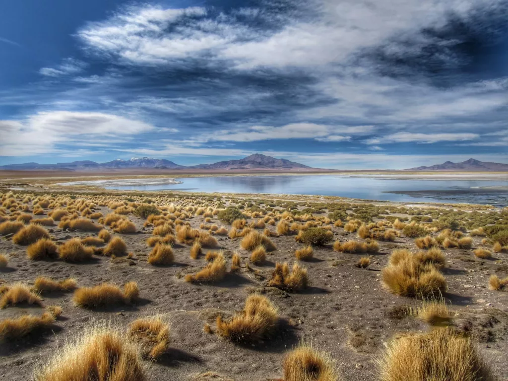 Atacama Desert & Altiplanic 1 atacama desert