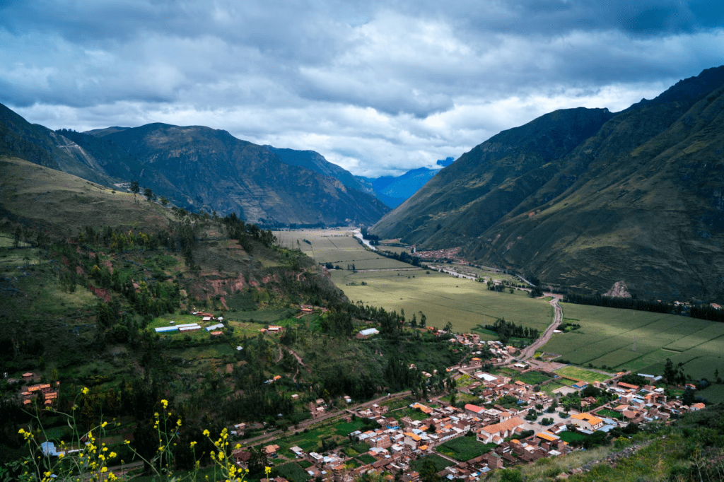 peruIns09