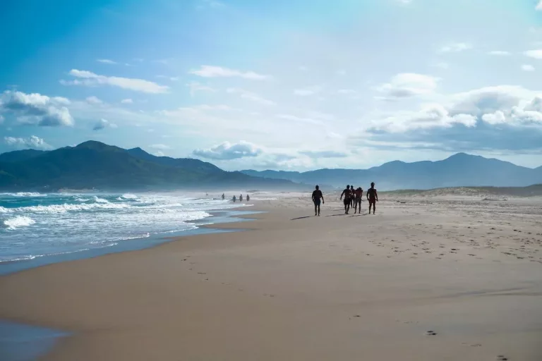 Atlantic Rainforest, Pantanal & Beaches in Brazil 25 Beach Hopping