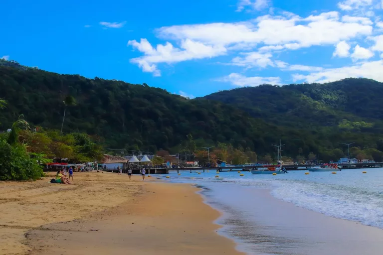 Atlantic Rainforest, Pantanal & Beaches in Brazil 45 Boat Tours