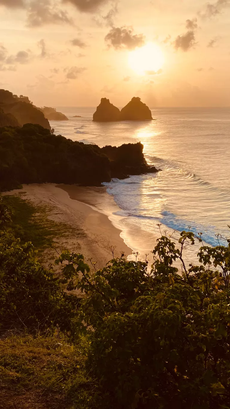 Atlantic Rainforest, Pantanal & Beaches in Brazil 44 Boat Tours 1