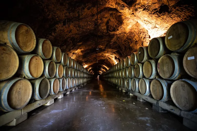 South American Wines 27 Bodega Catena Zapata