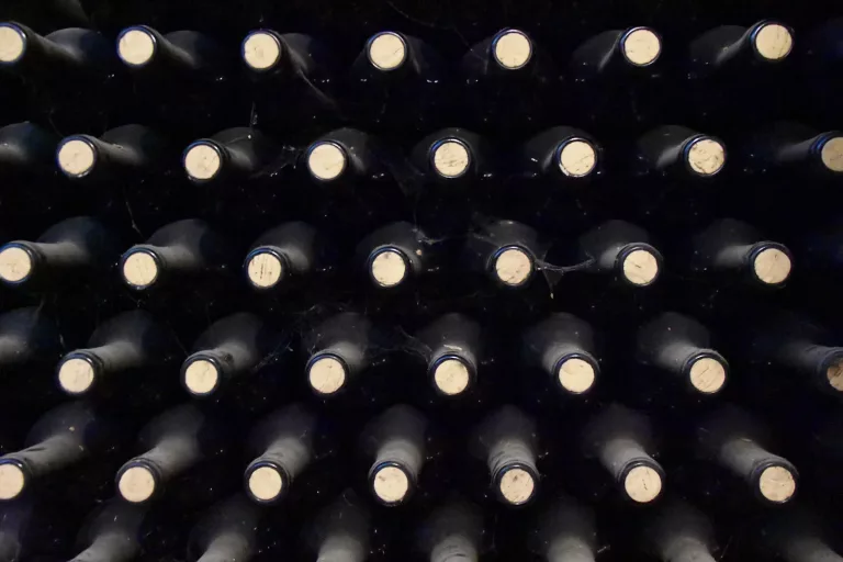 South American Wines 33 Bodega Luigi Bosca