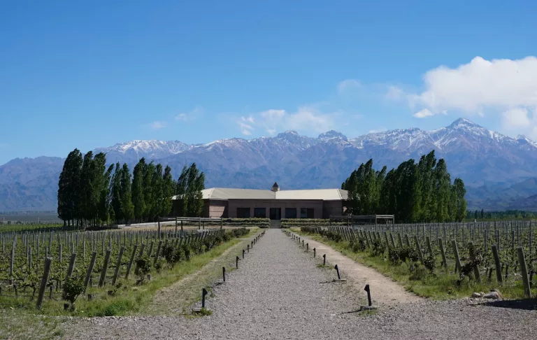 South American Wines 30 Bodega Salentein