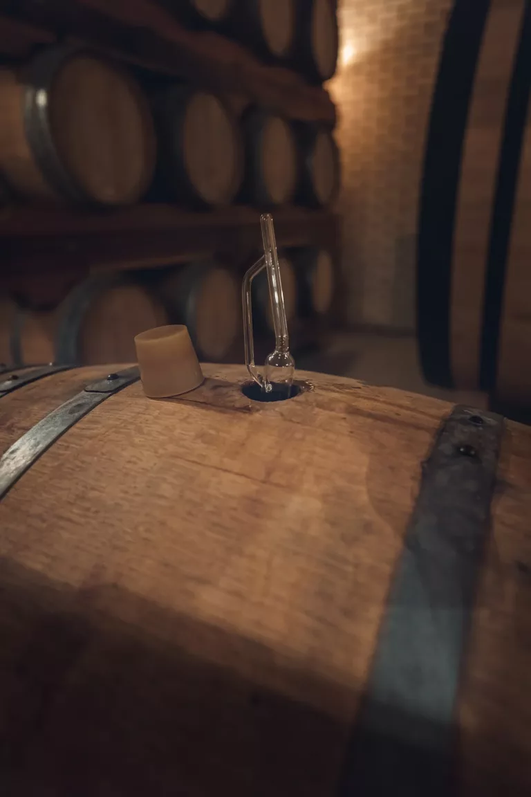 South American Wines 21 Bodegas RE