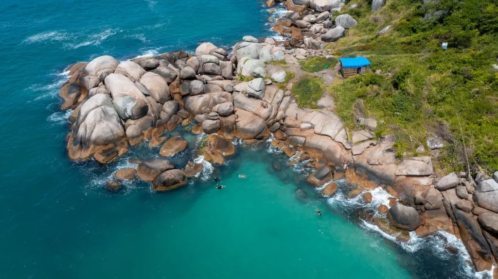 Atlantic Rainforest, Pantanal & Beaches in Brazil 2 Brazilian South Coast
