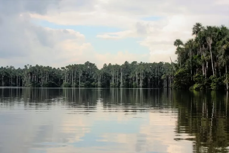 Amazon 32 Caiman Spotting