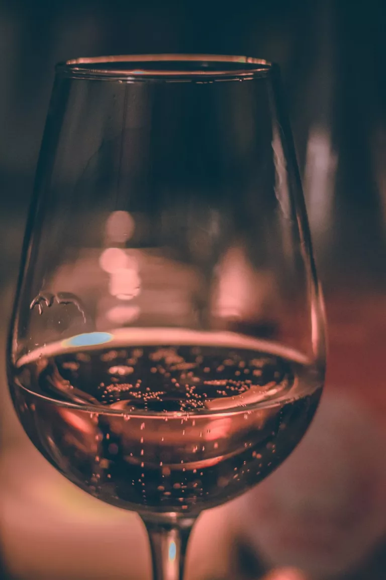 South American Wines 34 Casa Valduga