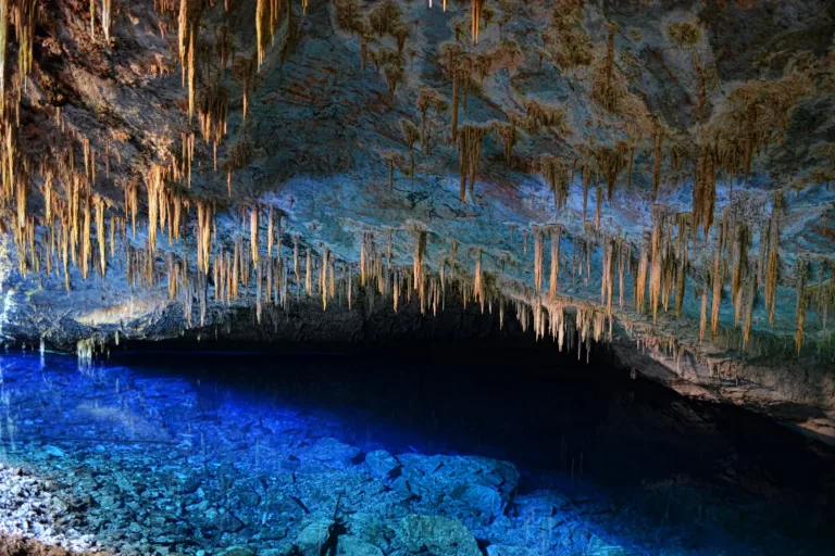 Pantanal & Wetlands 31 Cave Tours 1 1