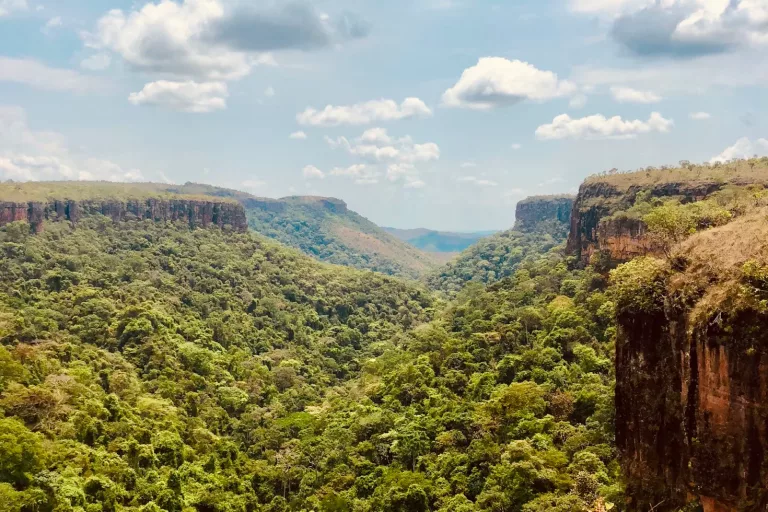 Pantanal & Wetlands 14 Chapada dos Guimaraes National Park