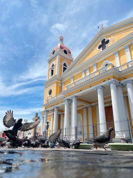 Central América, Caribbean & Mayan Culture 29 City Walking Tour