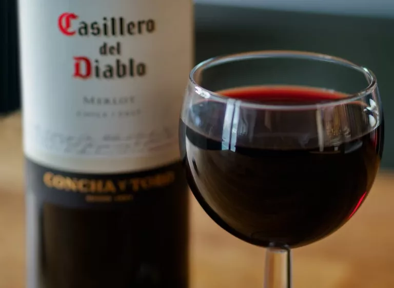 South American Wines 14 Concha y Toro