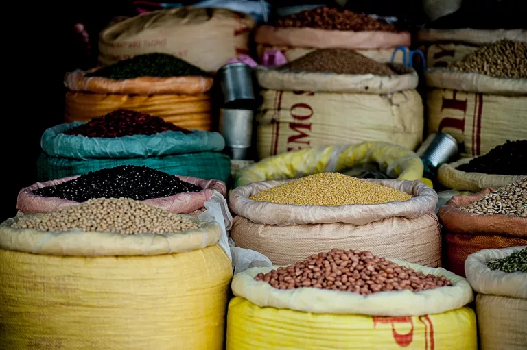 Lencois Maranhenses & Brazilian North Beaches 16 Culinary Tours