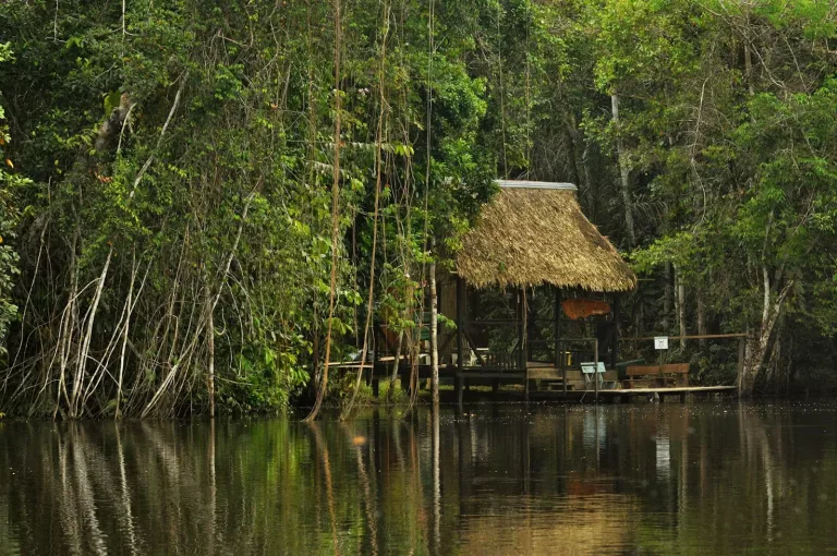 Amazon 43 Cuyabeno Reserve