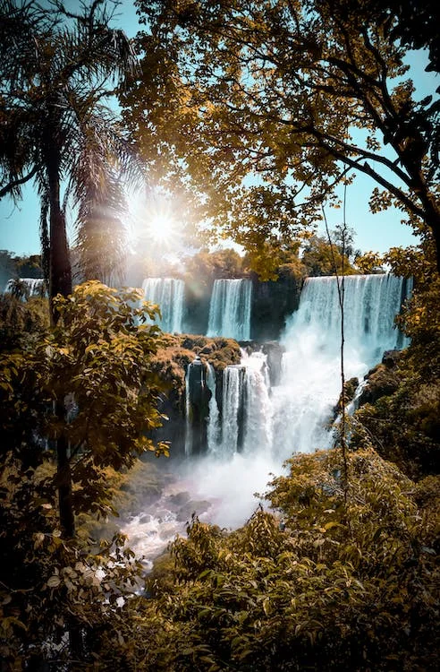 Atlantic Rainforest, Pantanal & Beaches in Brazil 19 Early Morning Waterfall Tour with Breakfast included looking the Falls