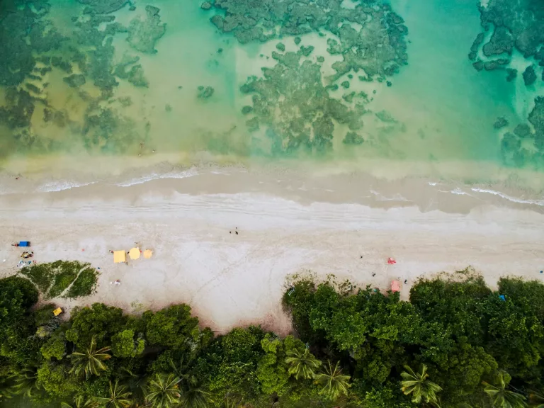 Atlantic Rainforest, Pantanal & Beaches in Brazil 49 Ecomorro Experiences