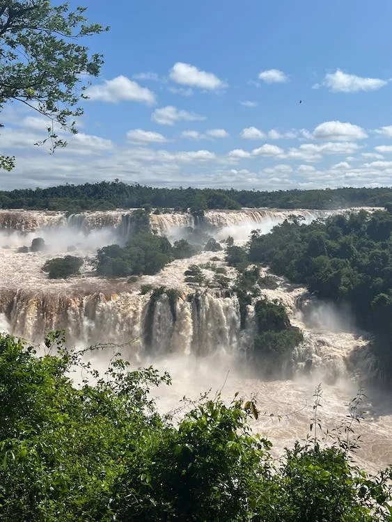 Atlantic Rainforest, Pantanal & Beaches in Brazil 21 Full Day Iguazu Falls Argentinian Side