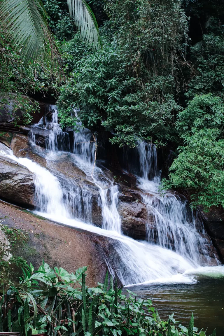 Atlantic Rainforest, Pantanal & Beaches in Brazil 40 Full Day Waterfalls and Cachaca