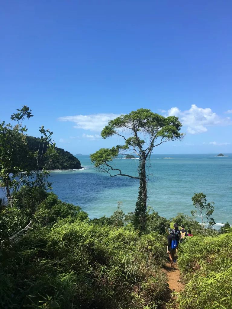 Atlantic Rainforest, Pantanal & Beaches in Brazil 35 Full Day in Ubatuba 1 1