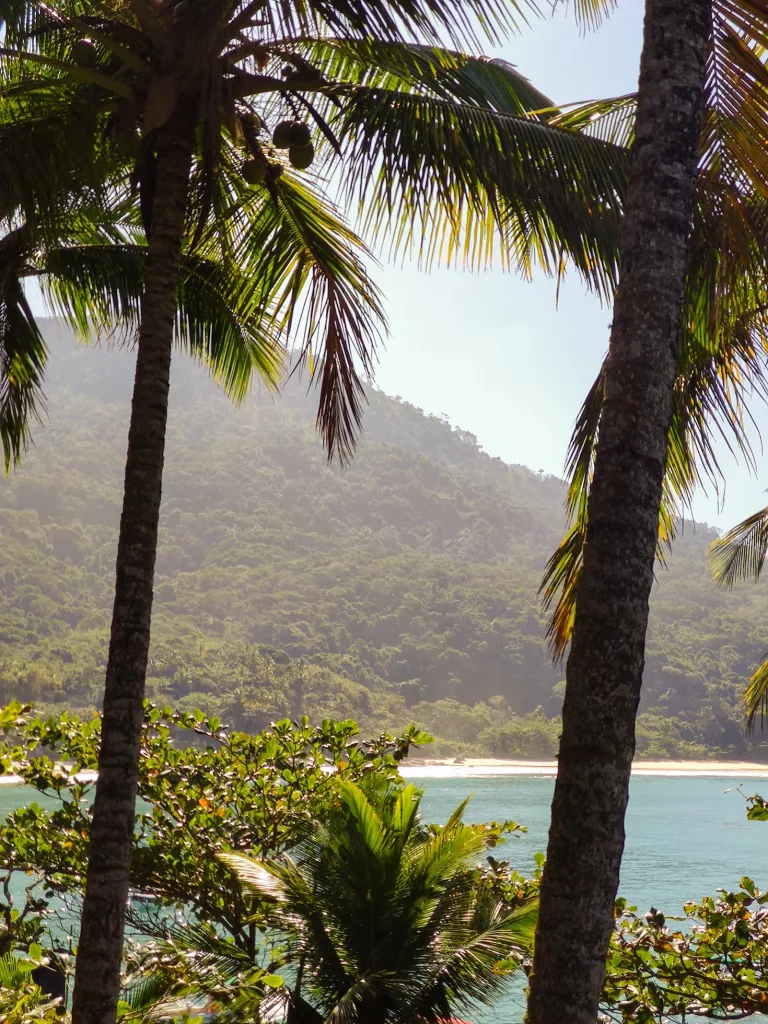 Atlantic Rainforest, Pantanal & Beaches in Brazil 43 Hiking in Ilha Grande