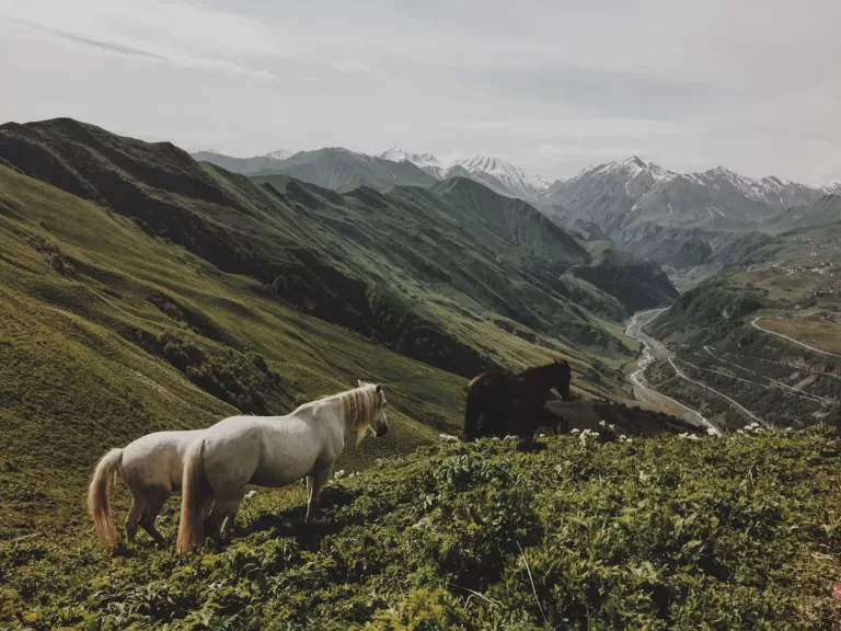 Lakes, Volcanoes & Mapuches 18 Horseback Riding