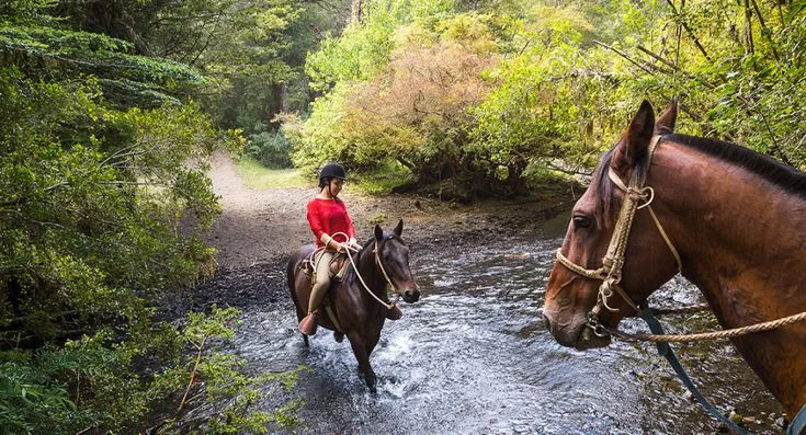 Lakes, Volcanoes & Mapuches 24 Horseback Riding 1