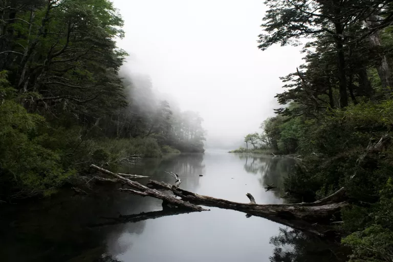 Lakes, Volcanoes & Mapuches 13 Huerquehue National Park
