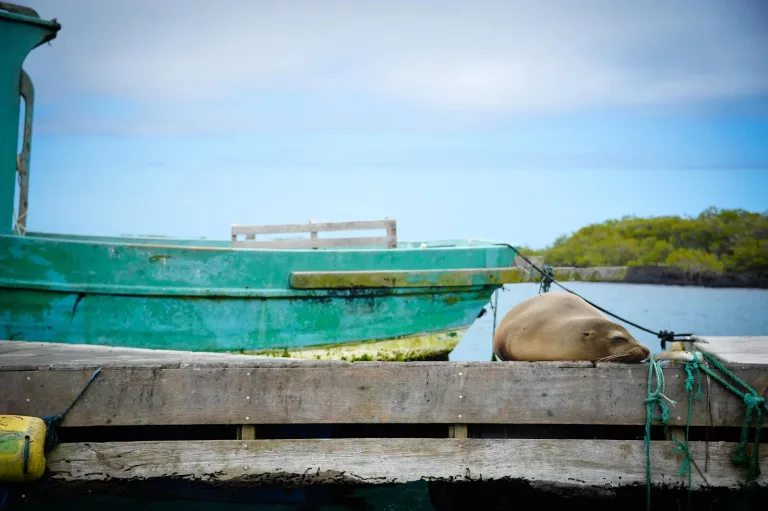 Easter Islands & Galapagos 22 Island Hopping Tours