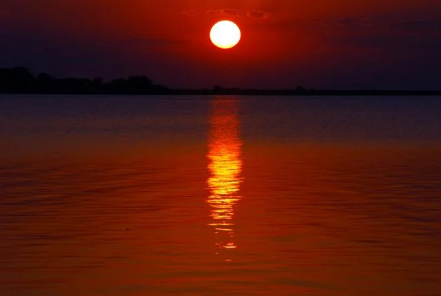 Pantanal & Wetlands 41 Night Tours