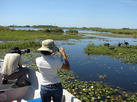 Pantanal & Wetlands 50 Photography Tours 1 2