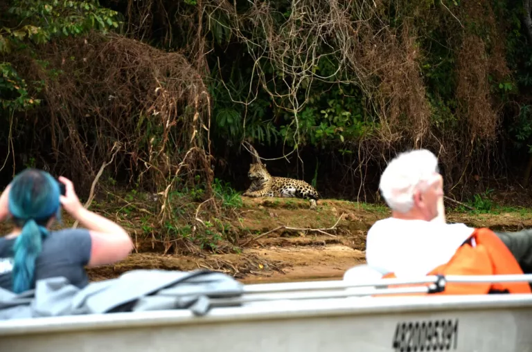 Pantanal & Wetlands 19 Photography Tours 1
