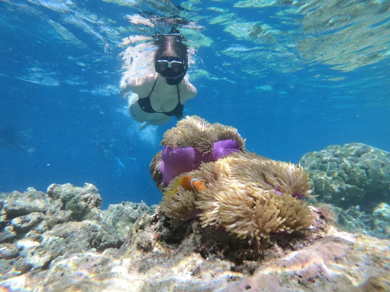 Easter Islands & Galapagos 24 Snorkeling Tours