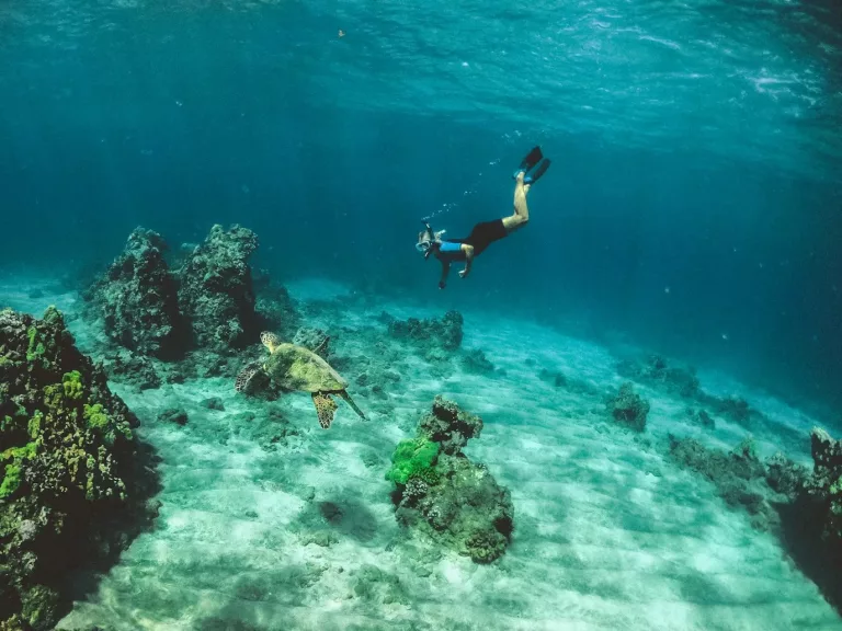 Central América, Caribbean & Mayan Culture 49 Snorkeling and Scuba Diving 1 2 jpeg