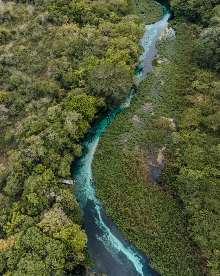 Pantanal & Wetlands 29 Snorkeling in Crystal Clear Rivers
