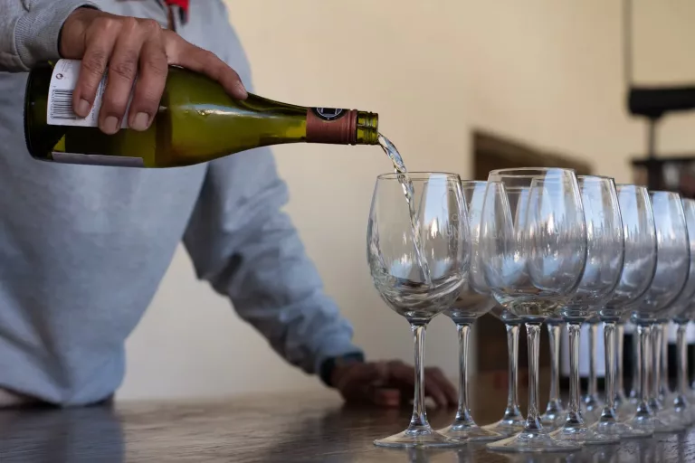 South American Wines 17 Vina Undurraga