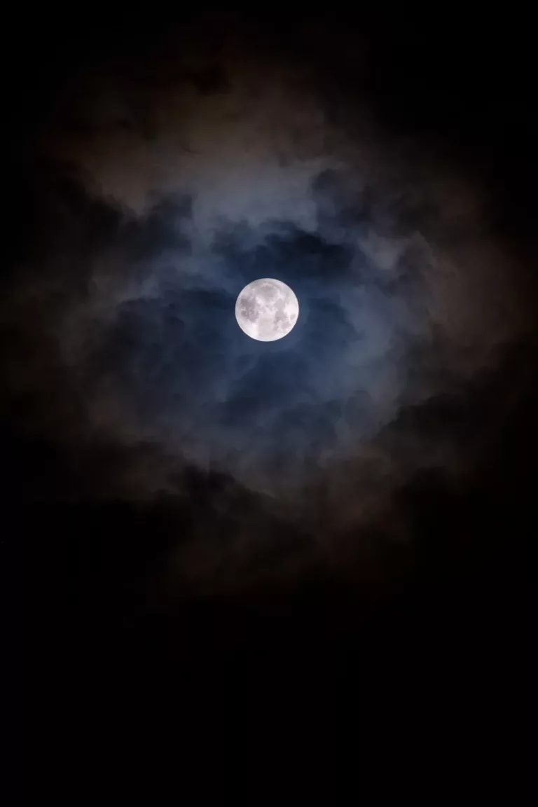 Atlantic Rainforest, Pantanal & Beaches in Brazil 24 Visit iguazu park in full moon