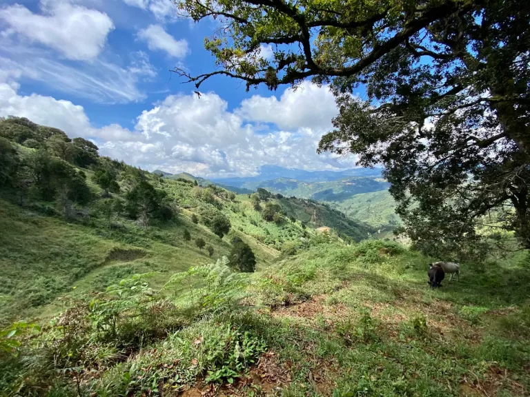 photo-1605371949345-979463ea3d02