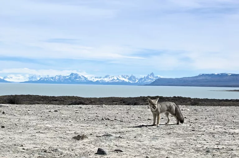 photo-1608992360814-66be2a48d5d9 (1)