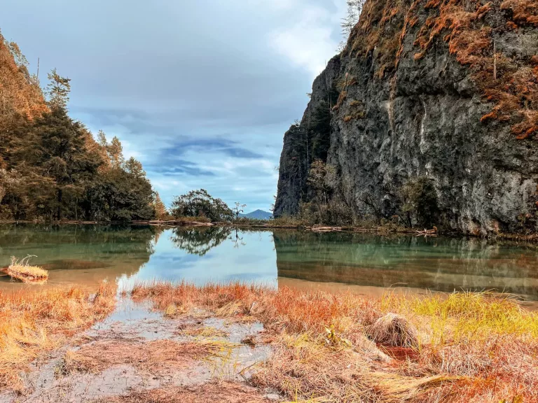 photo-1647651101729-ffb1e653fc5b